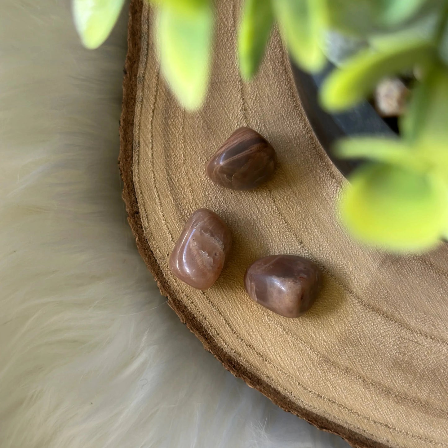 pierre de lune sur bois