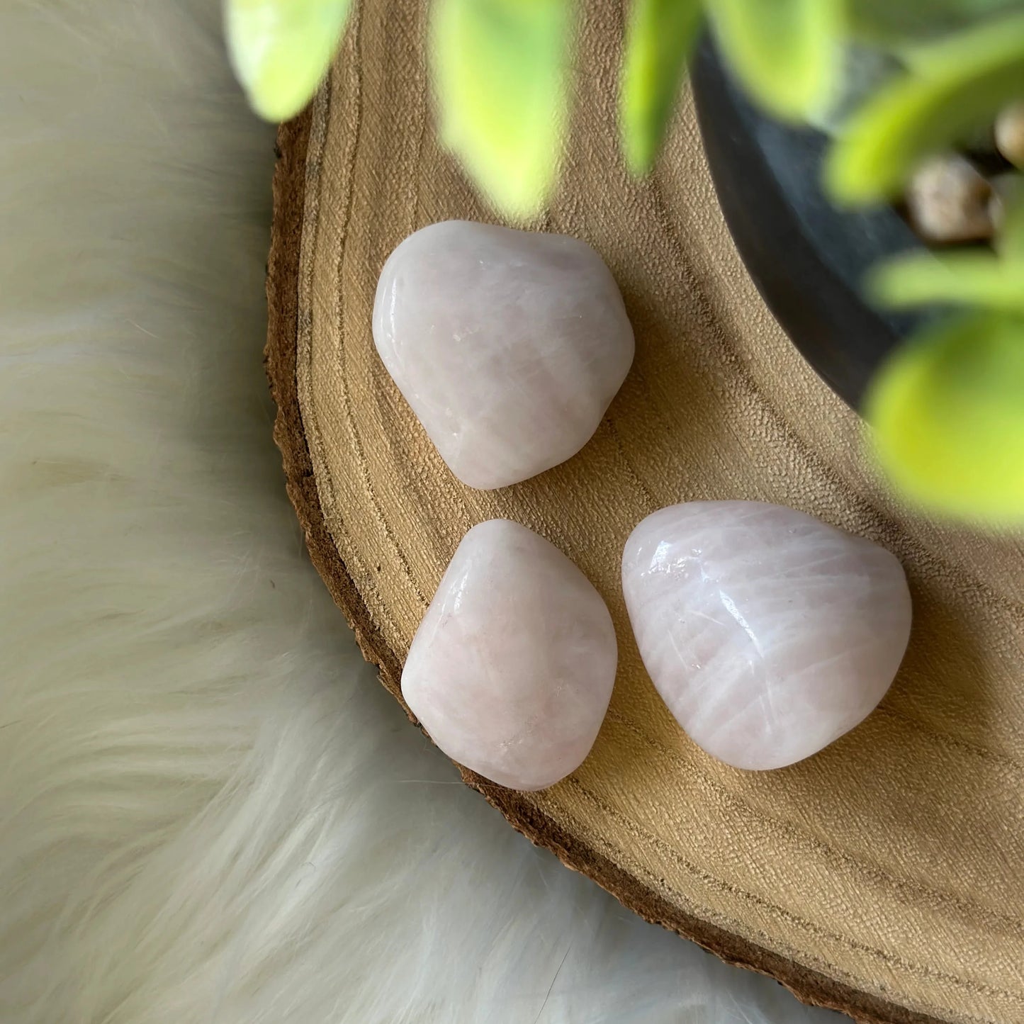 quartz rose sur bois