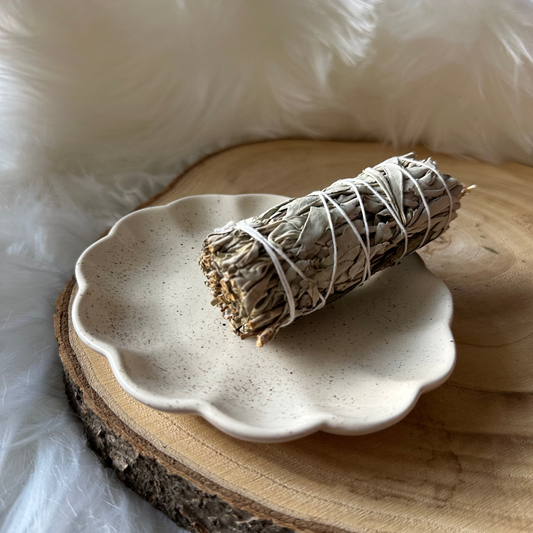 Baton de sauge sur coquillage et plaque en bois