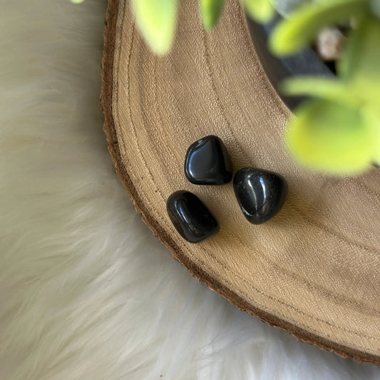 pierre shungite sur bois 