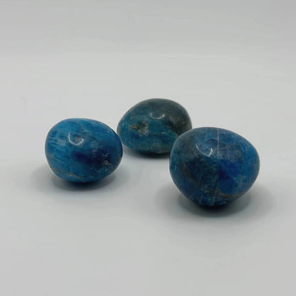 Lot de 3 pierres roulées Apatite bleue de Madagascar - Bien être & Lithothérapie