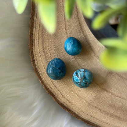 Lot de 3 pierres roulées Apatite bleue de Madagascar - Bien être & Lithothérapie